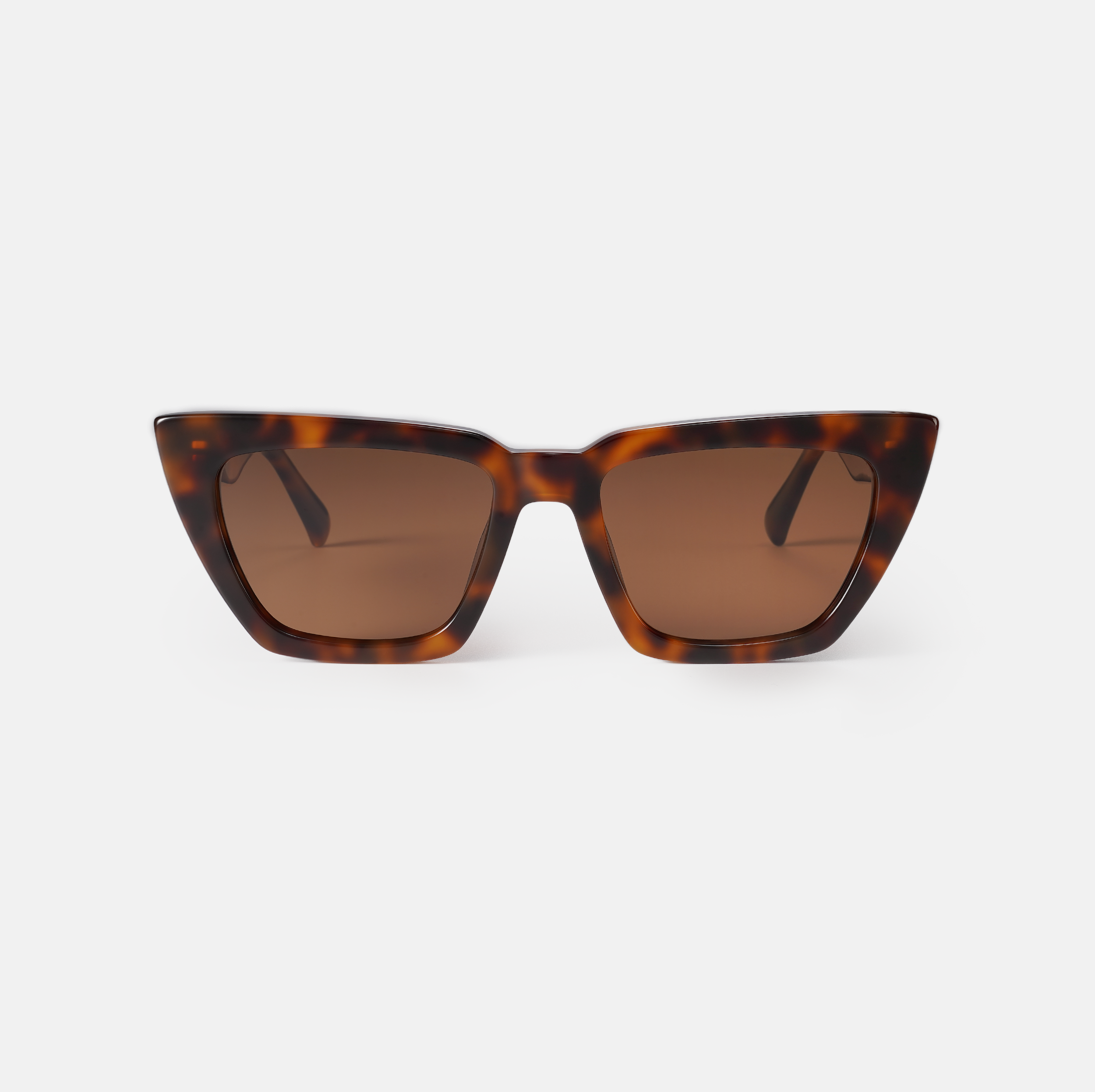 Cupid - Tortoiseshell