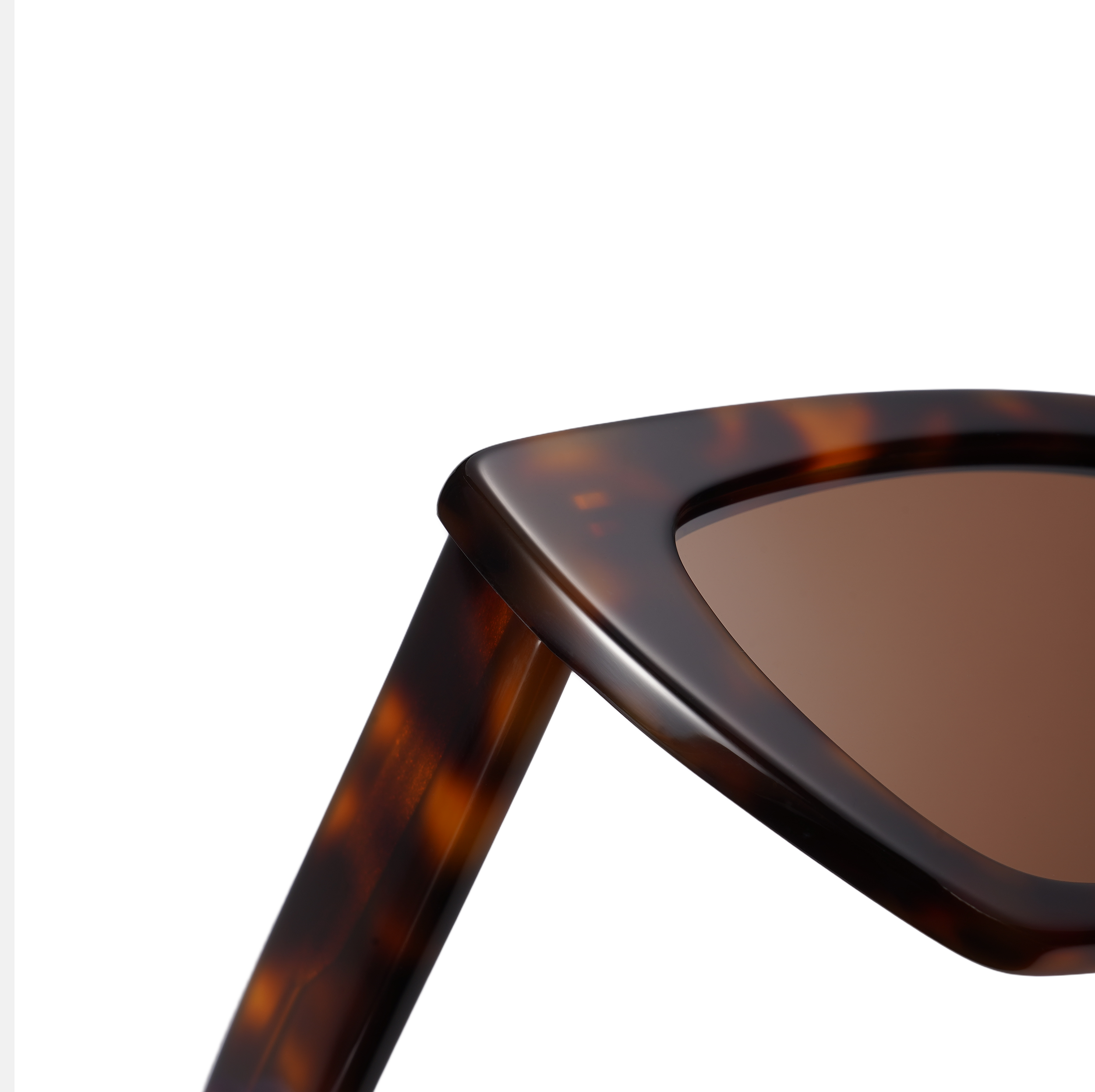 Cupid - Tortoiseshell