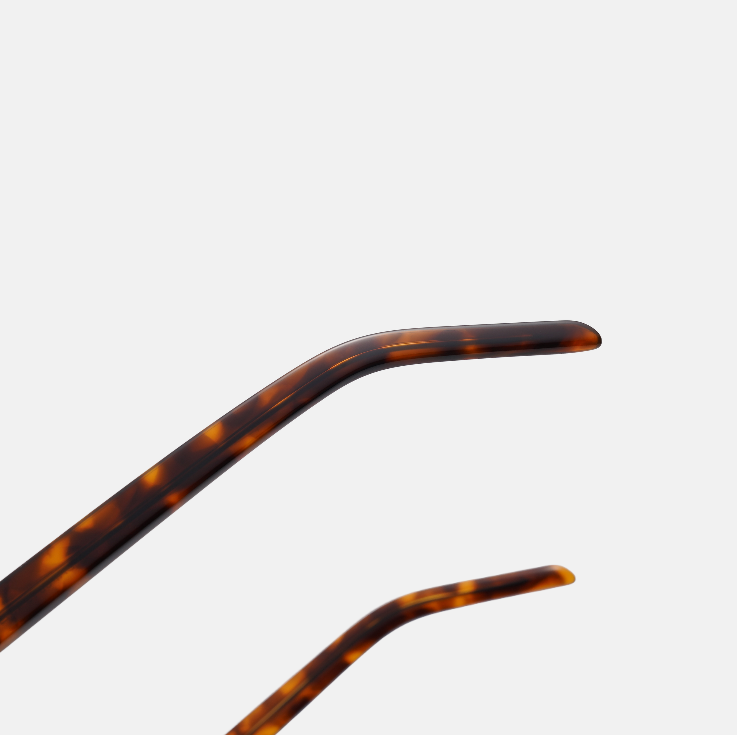 Aurelia - Tortoiseshell