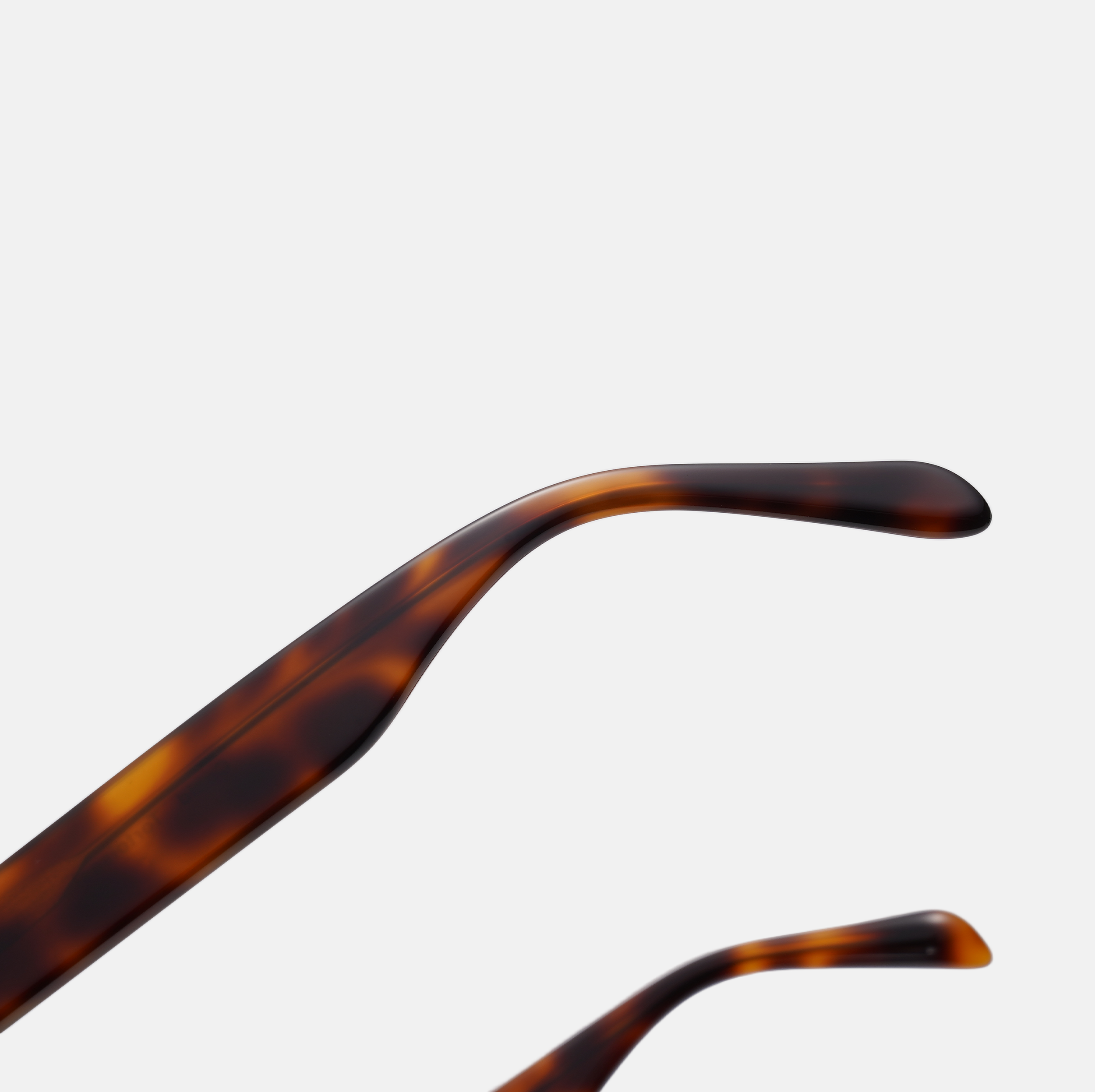 Cupid - Tortoiseshell