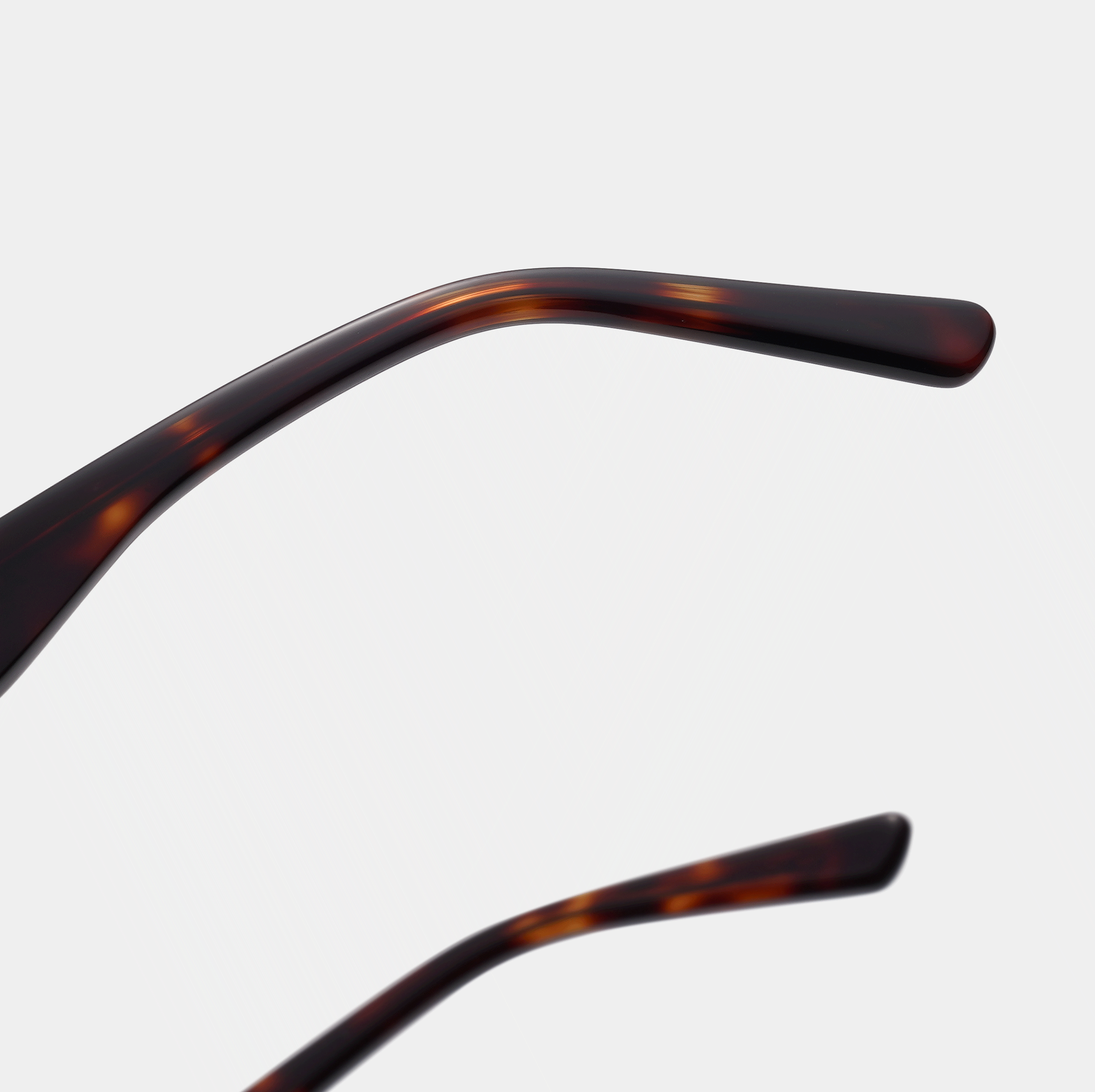 Apollo - Tortoiseshell