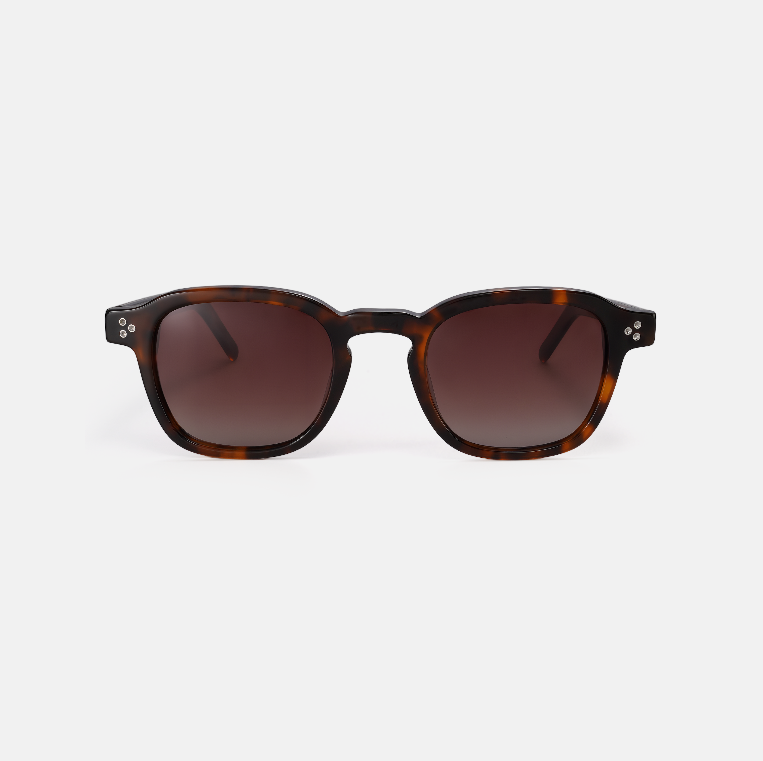 Aurelia - Tortoiseshell
