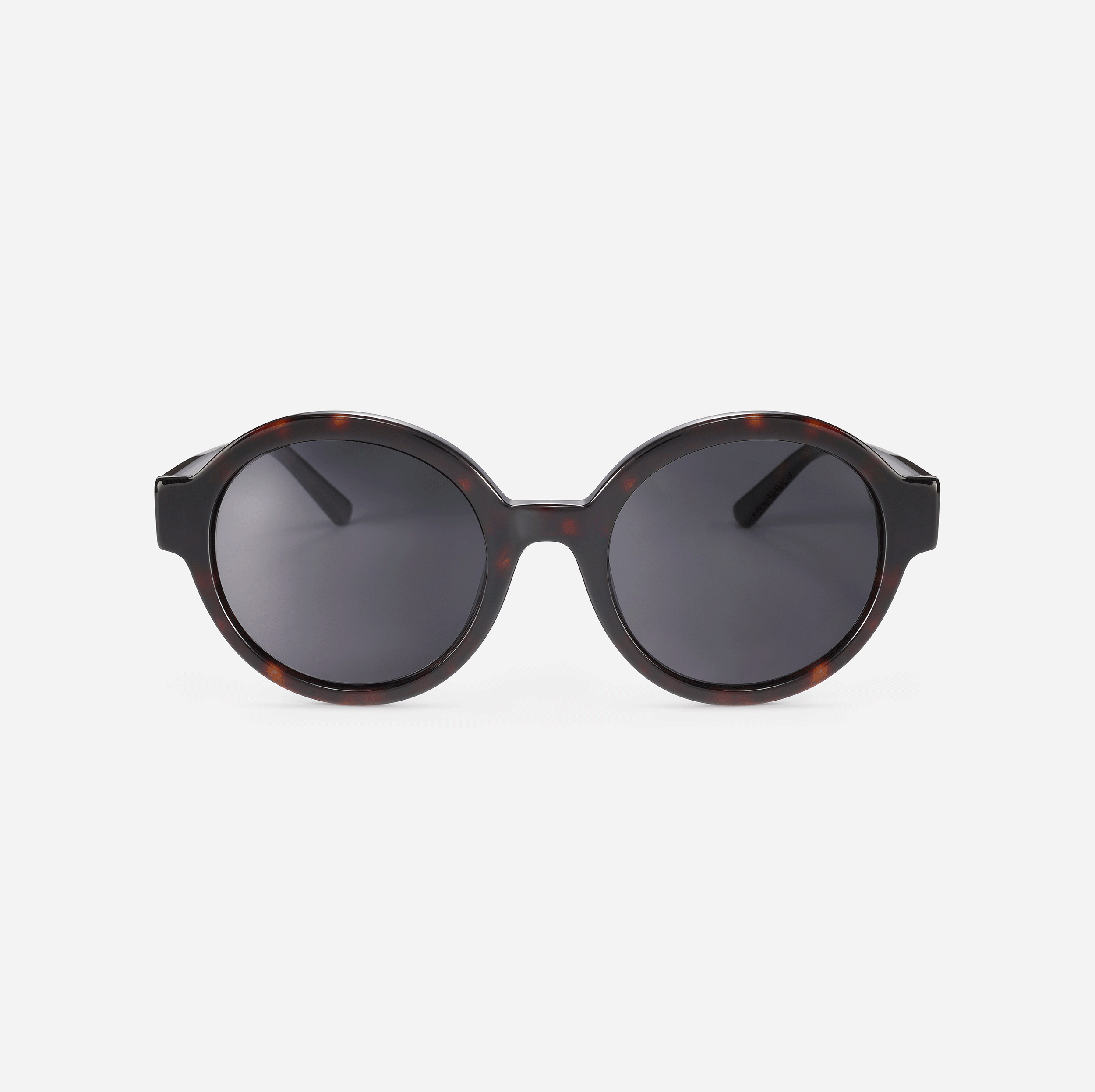 Apollo - Tortoiseshell